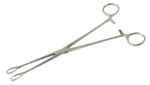Pinca-Foerster---24-cm