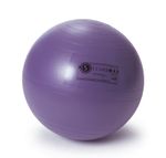 Bola-de-Exercicio-Securemax®