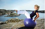 Bola-de-Exercicio-Securemax®