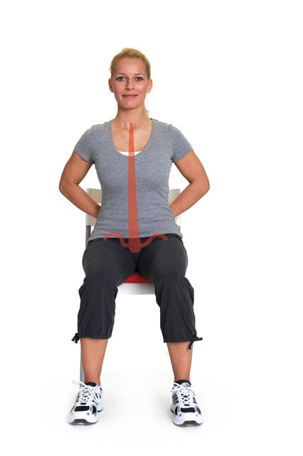 Almofada-Sissel-Sitfit-Plus