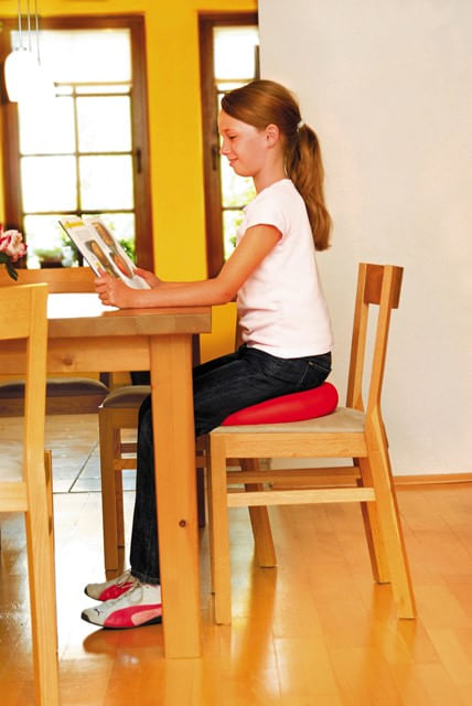 Almofada-Sissel-Sitfit-Plus