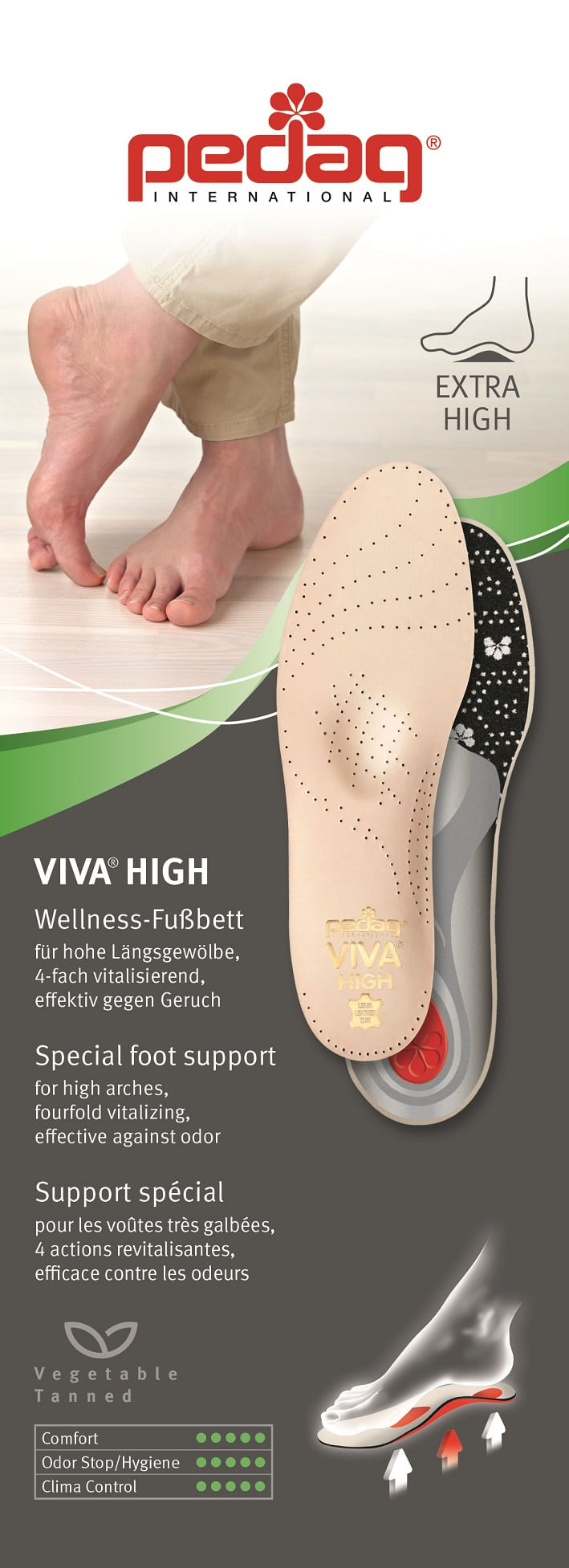Palmilhas-Anatomicas-Pedag-Viva-High