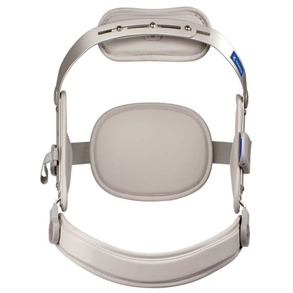 Dorso-Rigid